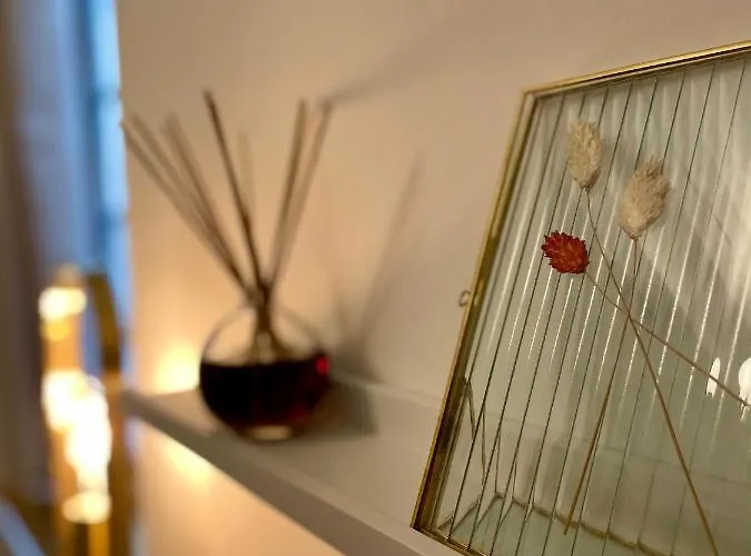 Cosy En Plein Coeur Historique Apartment