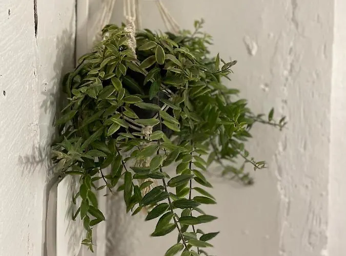 Apartment Cosy En Plein Coeur Historique