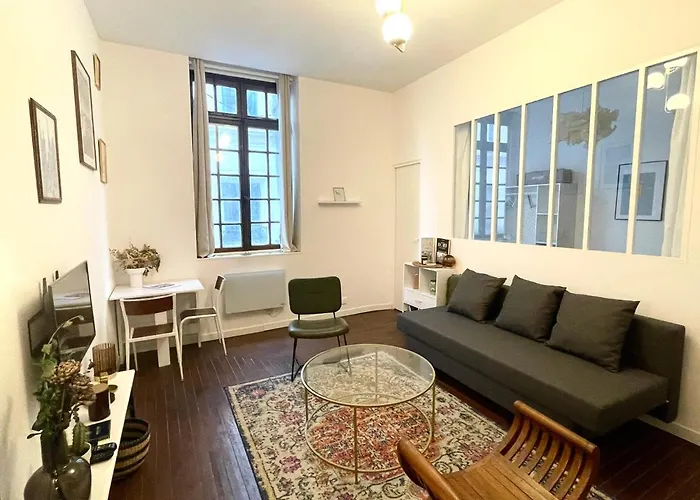 Cosy En Plein Coeur Historique *